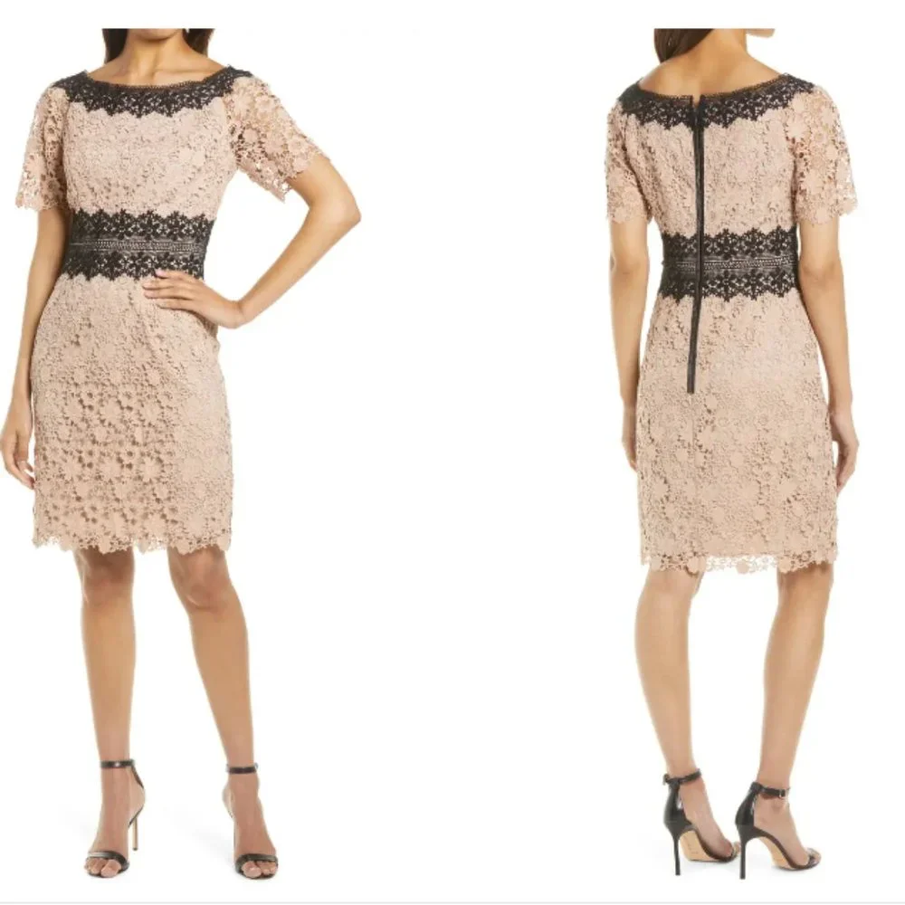 NWT SHANI Colorblock Lace Sheath Dress Champagne 10